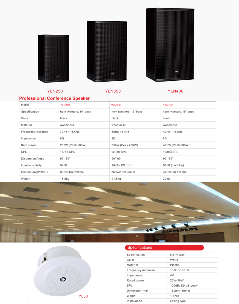 Professional conference speaker YL100